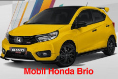 Honda Brio Mobil Masa Kini Cocok Untuk Kaum Hawa, Berikit Ini Penyebabnya!