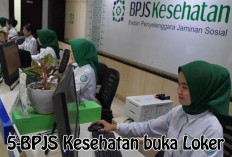 Lulusan D3 dan S1 Merapat! BPJS Kesehatan Buka Loker untuk Posisi PATT, Cek Persyaratannya