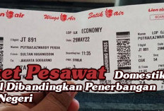 Tiket Pesawat  Domestik Mahal Dibandingkan Penerbangan Luar Negeri, Perhatikan Selisihnya 