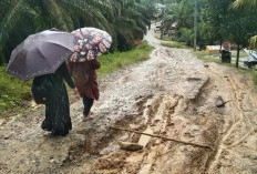 Derita Warga Cinto Mandi, Bertaruh Nyawa di Jalan Rusak Puluhan Tahun