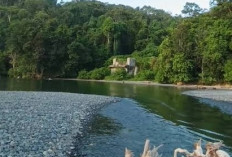 Lebih Sebulan, Korban Hanyut di   Sungai Manulla Belum Ditemukan 