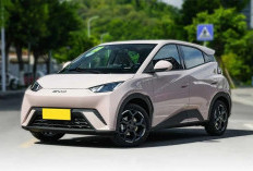 Mobil Listrik BYD Ramah Lingkungan, Ternyata Segini Besaran Pajak Kendaraan Bermotor Tahun 2026