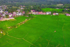 Punya Potensi Dijual Hingga Skala Internasional, Bupati Minta Pertanian Harus Serius Dikembangkan