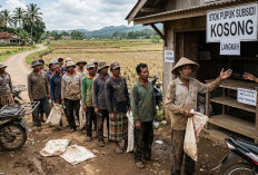 Terungkap! Ini Penyebab Kuota Pupuk Subsidi Bengkulu Selatan Belum Mampu Penuhi Kebutuhan Petani