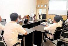 Badan Pusat Statistik Kaur Luncurkan DIVA, Inovasi Dashboard Data Statistik yang Praktis dan Interaktif