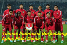 Timnas Indonesia Berpeluang Lolos Piala Dunia U-20, Berikut Faktanya