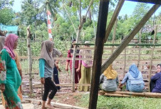 Orang Tua Murid Goro Bangun Pagar Bambu SDN 107 Kaur