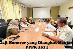 Honorer Resmi Diangkat Menjadi PPPK 2024, Segini Nominal Gaji Bulan Pertama