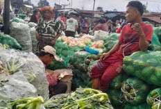 Bank Bengkulu Sediakan KUR Hingga Rp500 Juta untuk Dukung UMKM di Program MBG