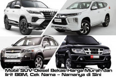 Mobil SUV Diesel Bekas Harga Murah dan Iirit BBM, Cek Nama – Namanya di Sini