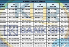 Lagi Paceklik? Pinjaman KUR BRI Siap Membantu! Begini Biaya yang Diajukan Serta Syaratnya