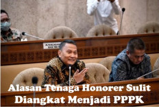 Tenaga Honorer Sulit Diangkat Menjadi PPPK? DPR Ungkap Alasannya