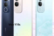 Akhir Tahun 2025, Vivo Y19s Jadi Pilihan Terbaik di Kelas HP Rp 1 Jutaan