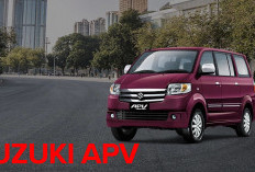 Suzuki APV Mobil Bisnis, Tangguh dan Multifungsi, Temukan di Sini Alasannya!