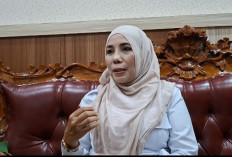 Luas Tanam Padi di Bengkulu Belum Capai Setengah, Irigasi dan Pupuk Jadi Kendala Utama