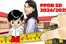 CATAT! Berikut Jadwal PPDB Jenjang SD di Bengkulu  Selatan 2024, Lengkap Jadwal, Kuota dan Zonasi