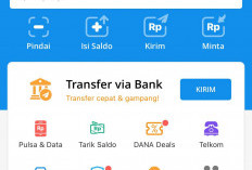 Ingin Dapat Saldo DANA Gratis Tanpa Ribet dan Menyenangkan, Simak Rekomendasinya di Sini Yuk!