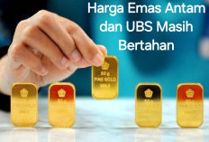 Harga Emas Antam dan UBS Kompak Bertahan, Segini Harganya