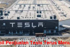 Penjualan Tesla Terus Menurun di Pasar China, Pekerja Dituntut Kerja Keras
