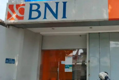 Penyaluran KUR BNI Tembus Ratusan Ribu   UMKM, Ini Dampaknya Bagi Usaha Kecil
