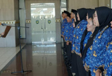 Pemkab Bengkulu Selatan Hadapi Krisis Anggaran, 900 PPPK Terancam Tak Gajian Tahun Depan, Begini Kondisinya