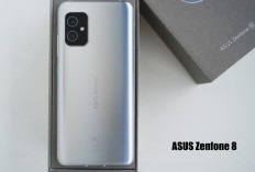ASUS Zenfone 8: Inovasi Baru Smartphone Ringkas dengan Performa Gahar