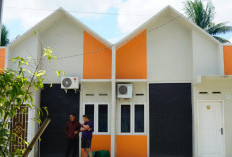 Tak Perlu Datang Kelokasi! 3 Cara Ini Bisa Cek Rumah Subsidi Lewat Online