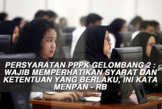 Persyaratan PPPK Gelombang 2 : Wajib Memperhatikan Syarat dan Ketentuan yang Berlaku, Ini Kata MenPAN - RB