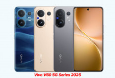 Vivo V60 Lite 5G,  Layar AMOLED 12Hz,  Garansi Lima Tahun