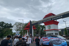 Petani Sawit Bengkulu Menilai Sidak Pemprov Hanya Gimik, Tuntut Kemitraan, Ini Penjelasannya 