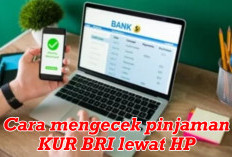 Cara Mengecek Pinjaman KUR BRI Lewat HP, Apakah Disetuju atau Ditolak Bisa Diketahui 