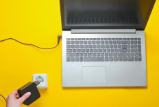 Main Laptop Sambil Dicas Boleh atau Tidak Ya? Ternyata Ini Jawabannya