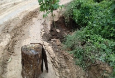 Warga Trans Babat Terancam Terisolir, Jalan Nyaris Putus, Ini Biang Keroknya