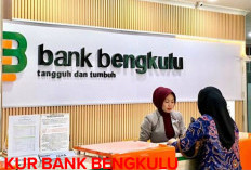 Penyaluran KUR Bank Bengkulu   Rp 1,95 Triliun, Segini Debiturnya!