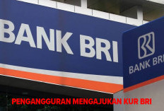 Emang Bisa Pengangguran Mengajukan KUR BRI? Kepokan Jawabannya Apa, Yuk Cari Tahu di Sini!