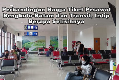 Perbandingan Harga Tiket Pesawat Bengkulu-Batam dan Transit, Intip Berapa Selisihnya