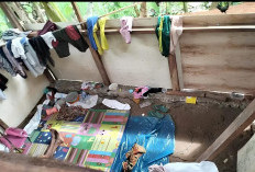 2026, Kabupaten Kaur Targetkan Warga Tidak Lagi Tinggal di RTLH