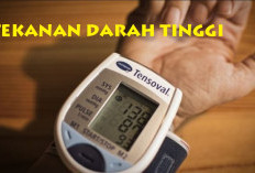 Tekanan Darah Tinggi Auto Berkurang dengan Mengonsumsi Lima Jenis Tanaman Herbal Ini!