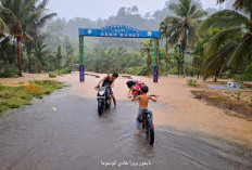 Terendam Banjir, Jalan Empat Desa di Kaur Terputus