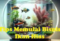 Tertarik Memulai Bisnis Ikan Hias, Simak Kelebihan dan Tipsnya di Sini!