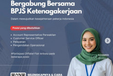 Info Lowongan Pekerjaan BPJS Ketenagakerjaan Banyak Posisi Bisa Anda Lamar, Cek di Sini