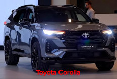 Toyota Corolla Cross 2026 Desain yang   Lebih Baik, Posturnya Lebih Atletis