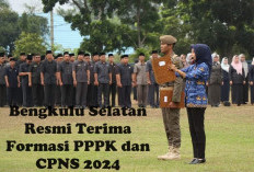 FINAL! Bengkulu Selatan Resmi Terima Formasi PPPK dan CPNS 2024? Segini Jumlahnya