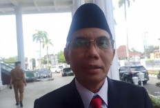 Bengkulu Terima 11 Ekor Sapi Kurban Presiden Prabowo Subianto, Kaur Diambil dari Tempat Ini