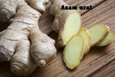 5 Tanaman Herbal Atasi Asam Urat, Minim Efek Samping Lho! Berikut Jenisnya