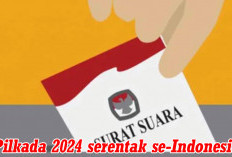 Pilkada Serentak 2024, Sedot Anggaran   Fantastis, Ini Jumlah Pemilih Potensial