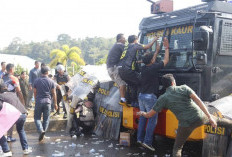 Jelang Pendaftaran Bacabup ke KPU, Polisi Kaur Bentrok dengan Massa, Ini Kronologisnya  