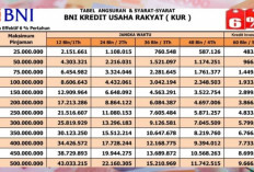 KUR BNI 2026 Jadi Solusi Modal UMKM, Cicilan Rp 100 Juta Tenor 5 Tahun Mulai Rp 1,9 Juta