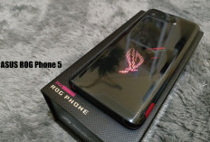Buktikan Ketangguhan ASUS ROG Phone 5 dalam Performa dan Daya Tahan!
