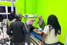 BREAKING NEWS! Remaja 17 Tahun Tewas Ditusuk di Sudut Lupis, Begini Langkah Polisi! 
